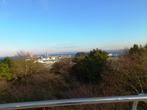 野島公園展望台の風景5
